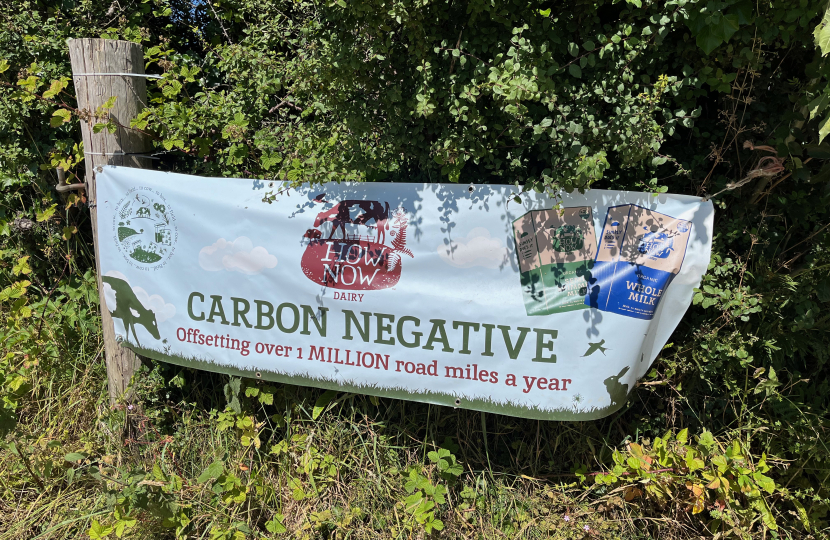 carbon negative