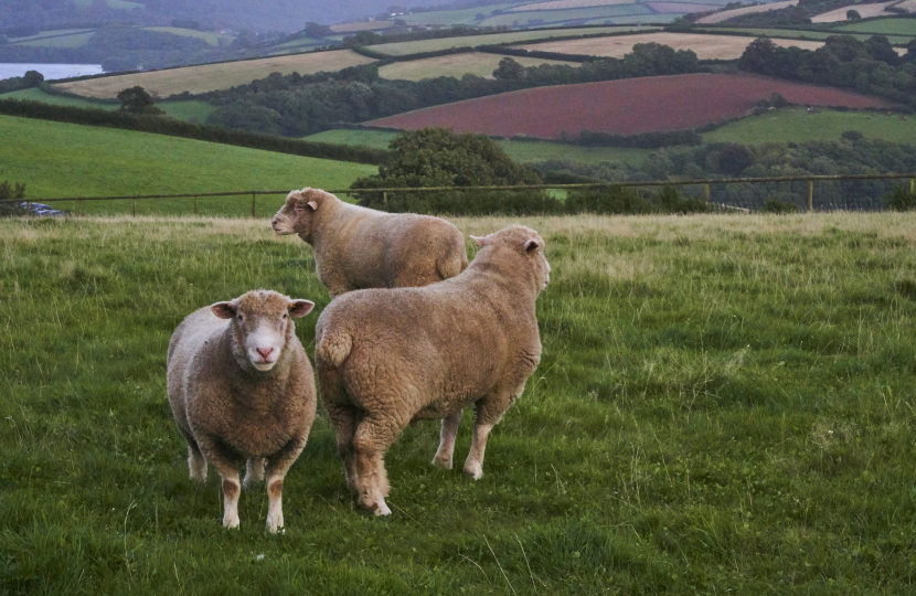 rural Devon