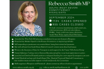 Rebecca casework stats