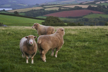 rural Devon